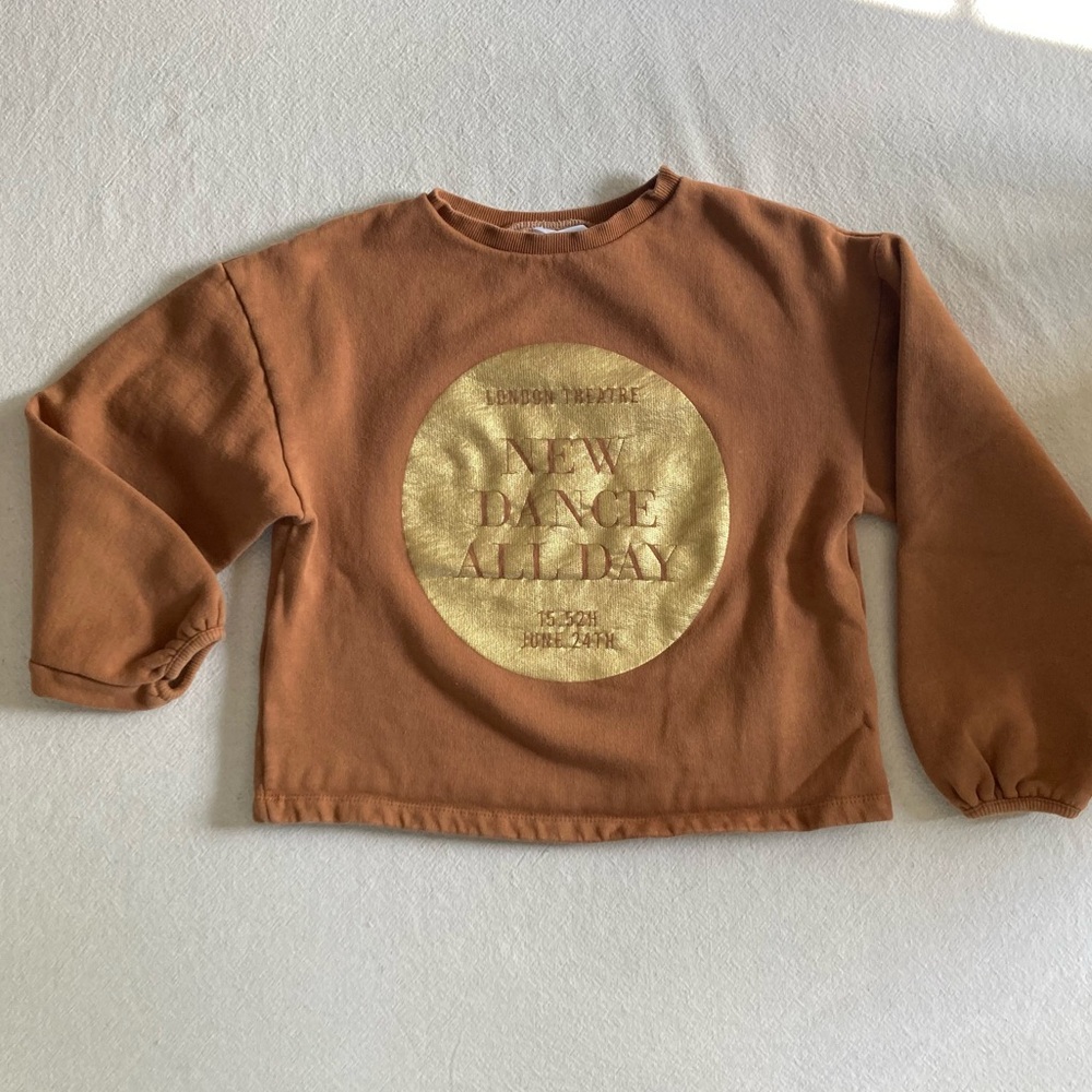 Zara Rust Brown Sweatshirt with Gold Foil Circle
